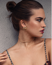 Load image into Gallery viewer, Fierce Boho earrings